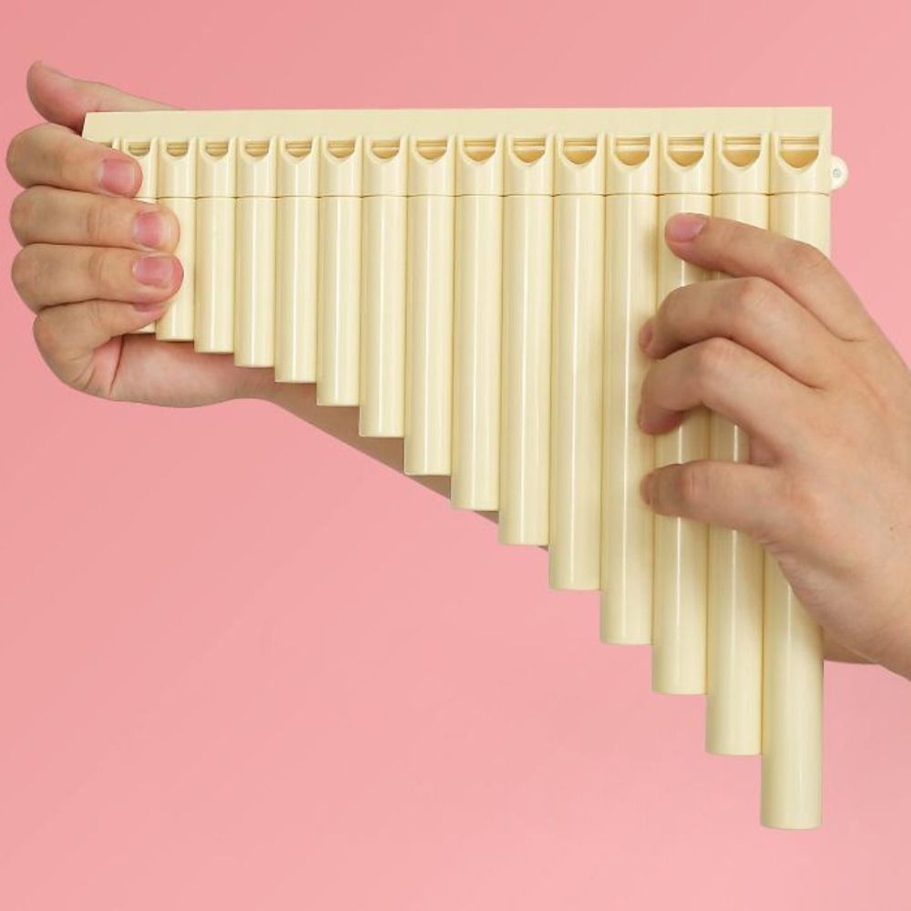 18 Pipes C Scale Panpipe Ergon - Musical Instrument Easy To Learn 评论和价格