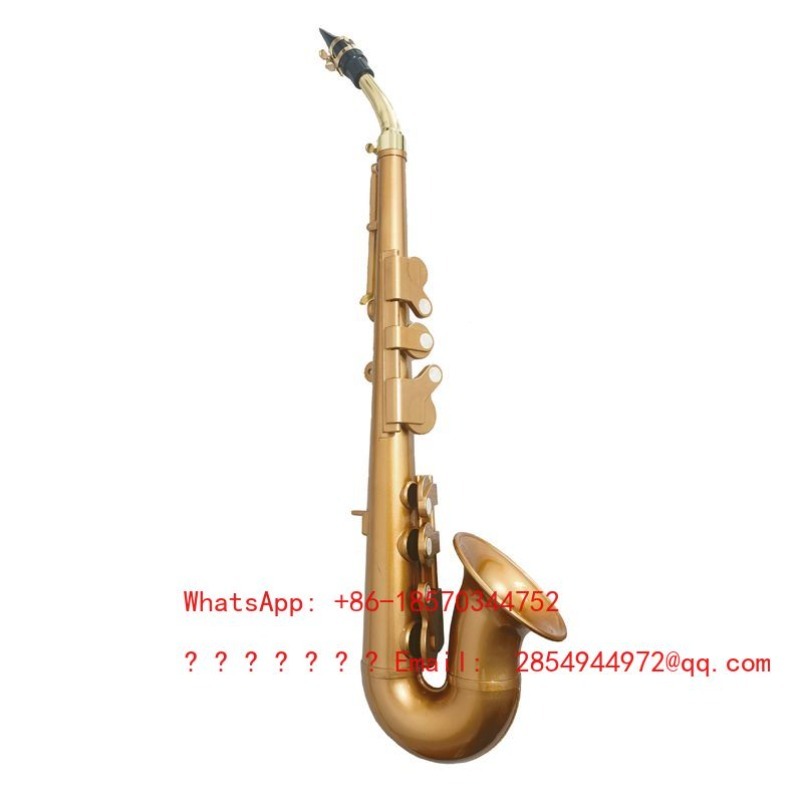 Resin Saxophone Musical Instru - Musical Instrument Easy To Learn 评论和价格