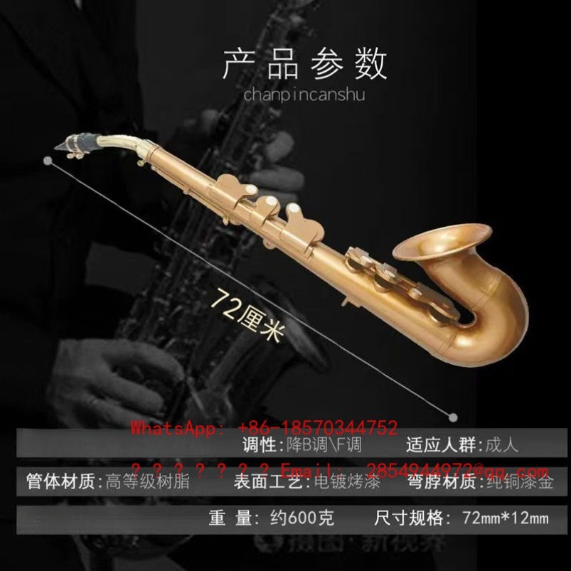 Resin Saxophone Musical Instru - Musical Instrument Easy To Learn 评论和价格
