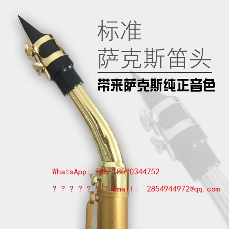 Resin Saxophone Musical Instru - Musical Instrument Easy To Learn 评论和价格