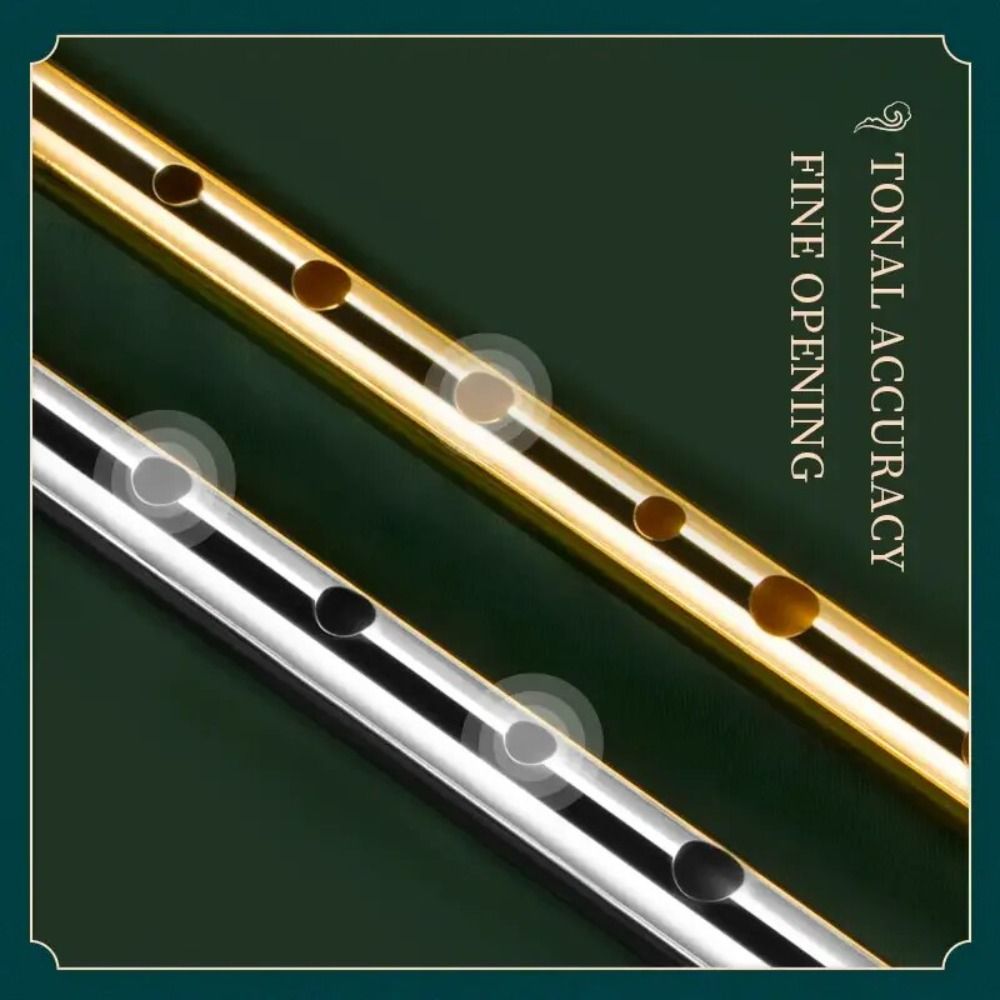 C/D Key Irish Whistle Flute 6  - Musical Instrument Easy To Learn 评论和价格