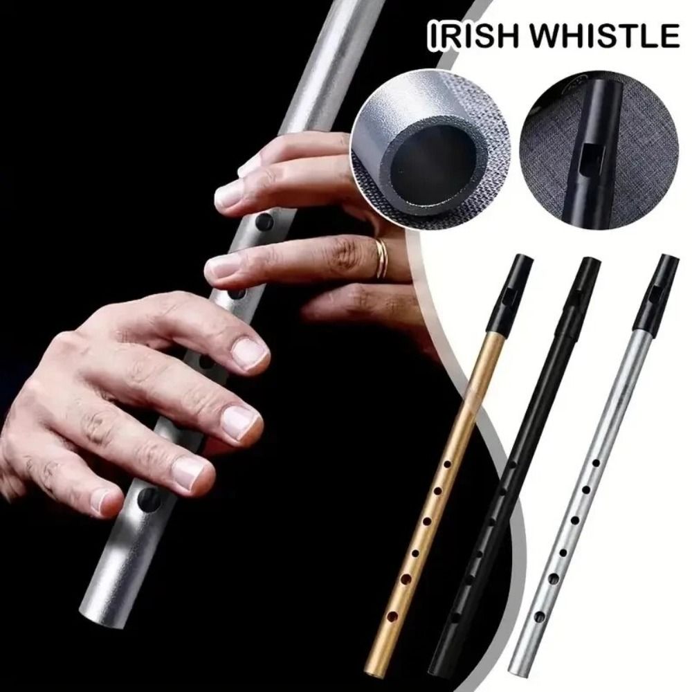 6 Holes C/D Key Irish Whistle  - Musical Instrument Easy To Learn 评论和价格