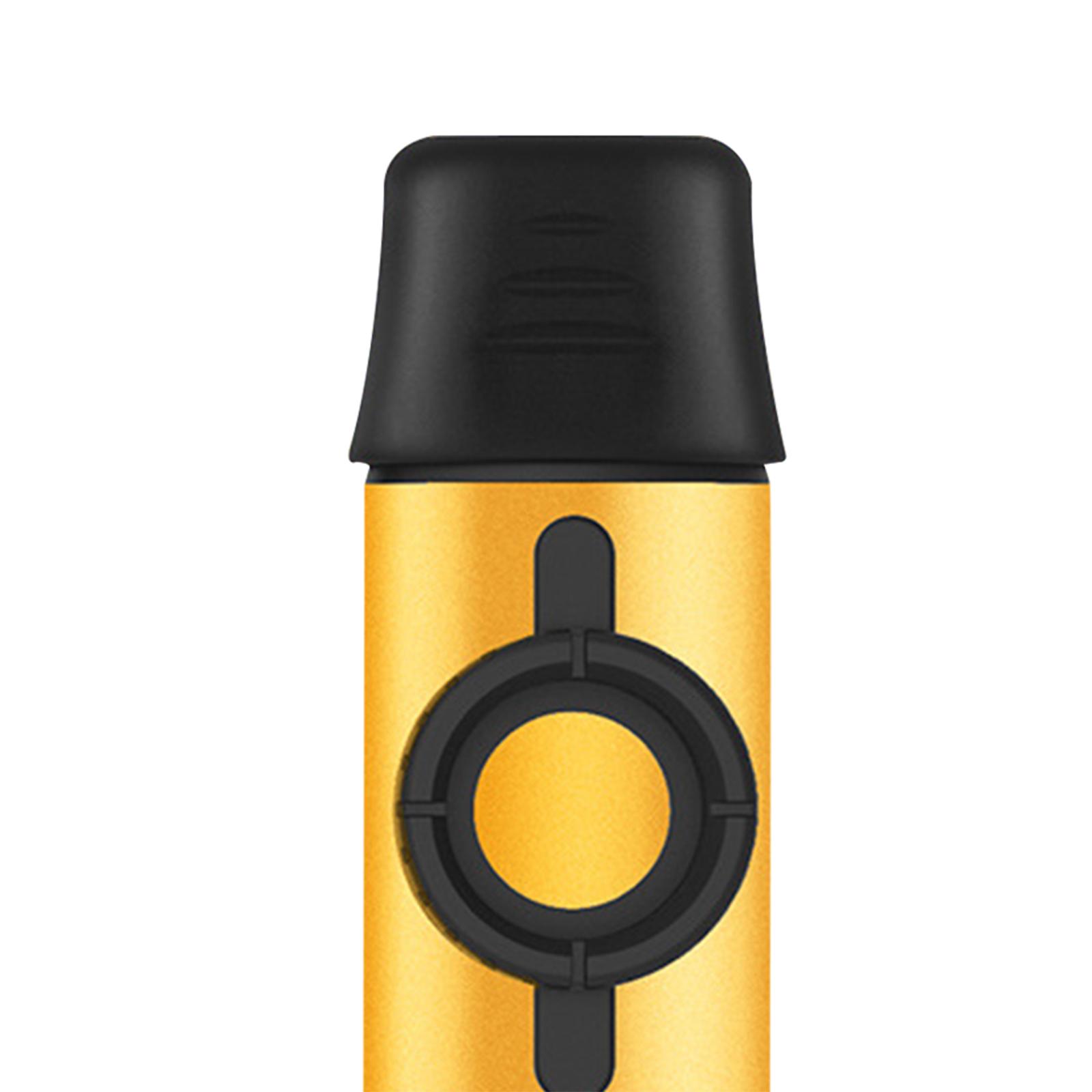Metal Kazoo with 5 Extra Membr - Musical Instrument Easy To Learn 评论和价格